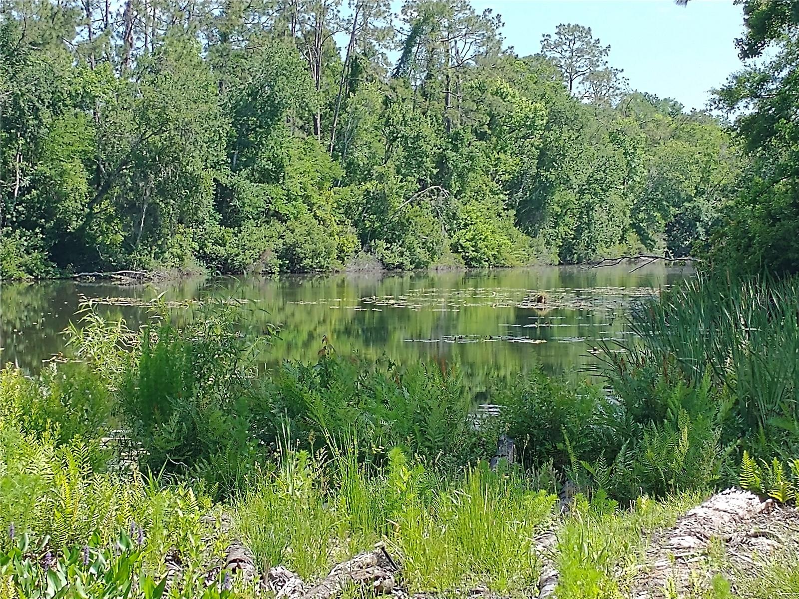 0000 EAGLE BLVD, LAND O LAKES, FL, 34639