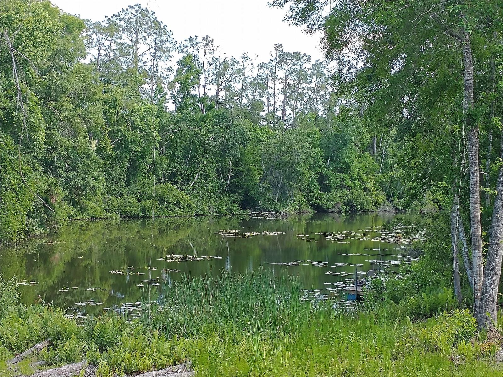 0000 EAGLE BLVD, LAND O LAKES, FL, 34639