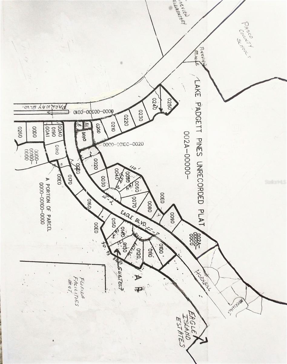 0000 EAGLE BLVD, LAND O LAKES, FL, 34639