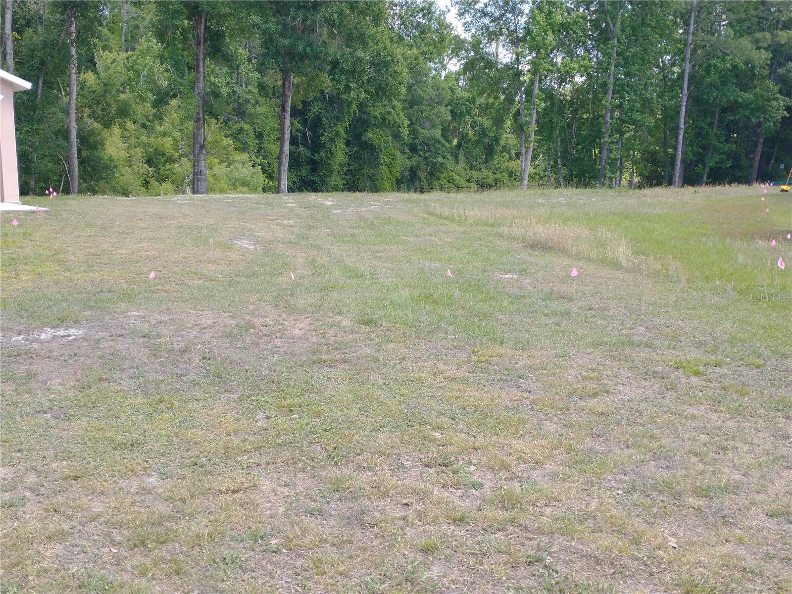 0000 EAGLE BLVD, LAND O LAKES, FL, 34639
