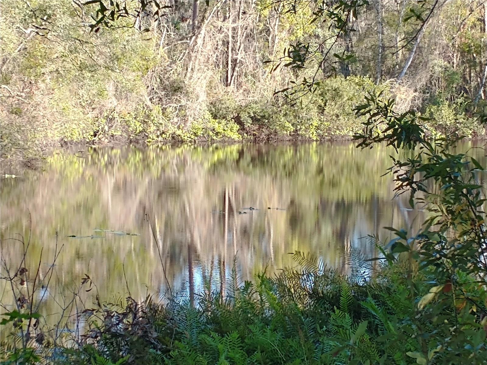 0000 EAGLE BLVD, LAND O LAKES, FL, 34639