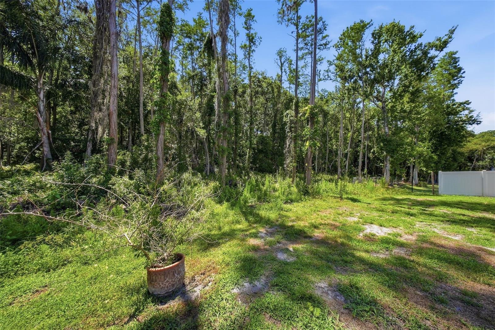 16604 E COURSE DR, TAMPA, FL, 33624