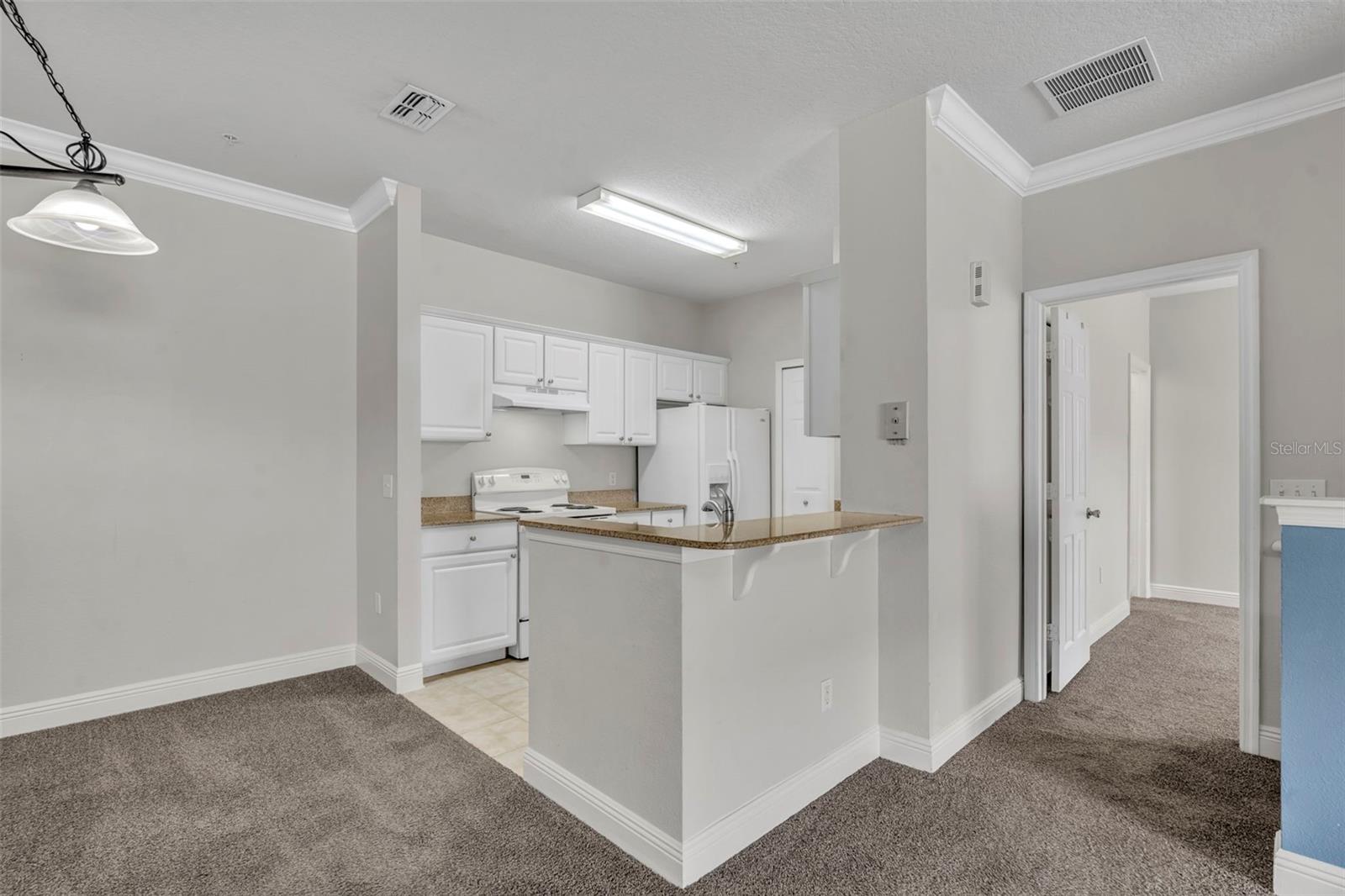 200 SOUTHERN PECAN CIRCLE #206, WINTER GARDEN, FL, 34787