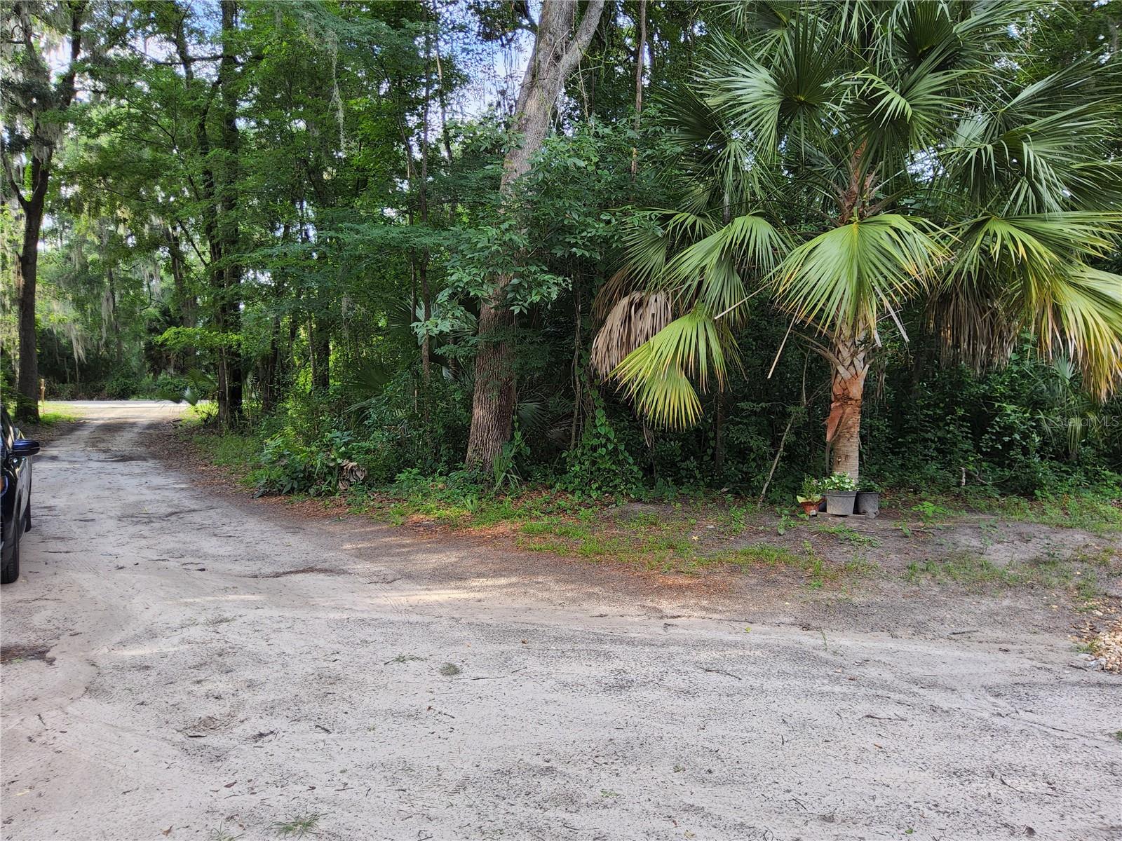 3200 SE 107TH PL, OCALA, FL, 34480