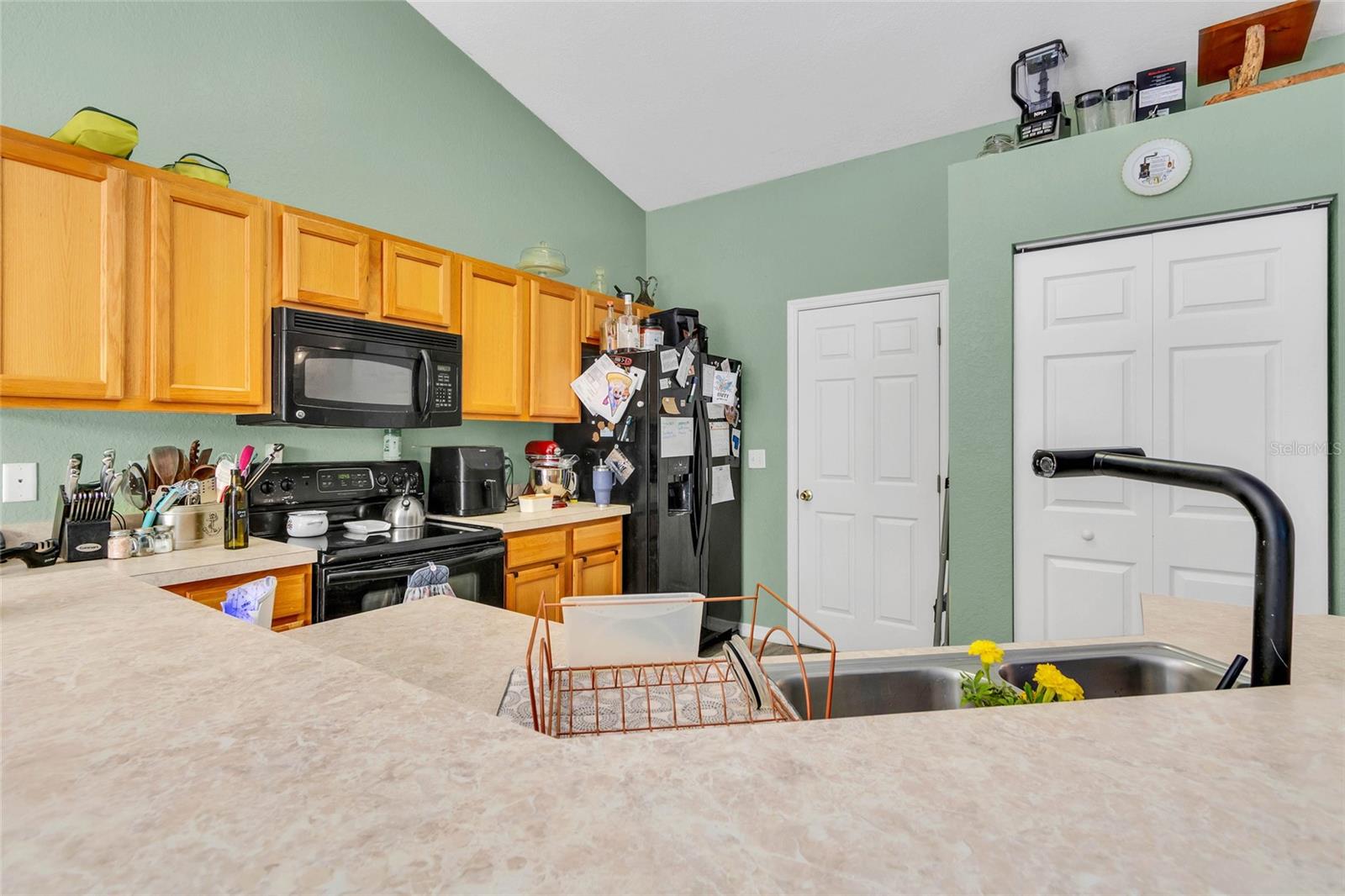 9 SEQUOIA LOOP LN, OCKLAWAHA, FL, 32179