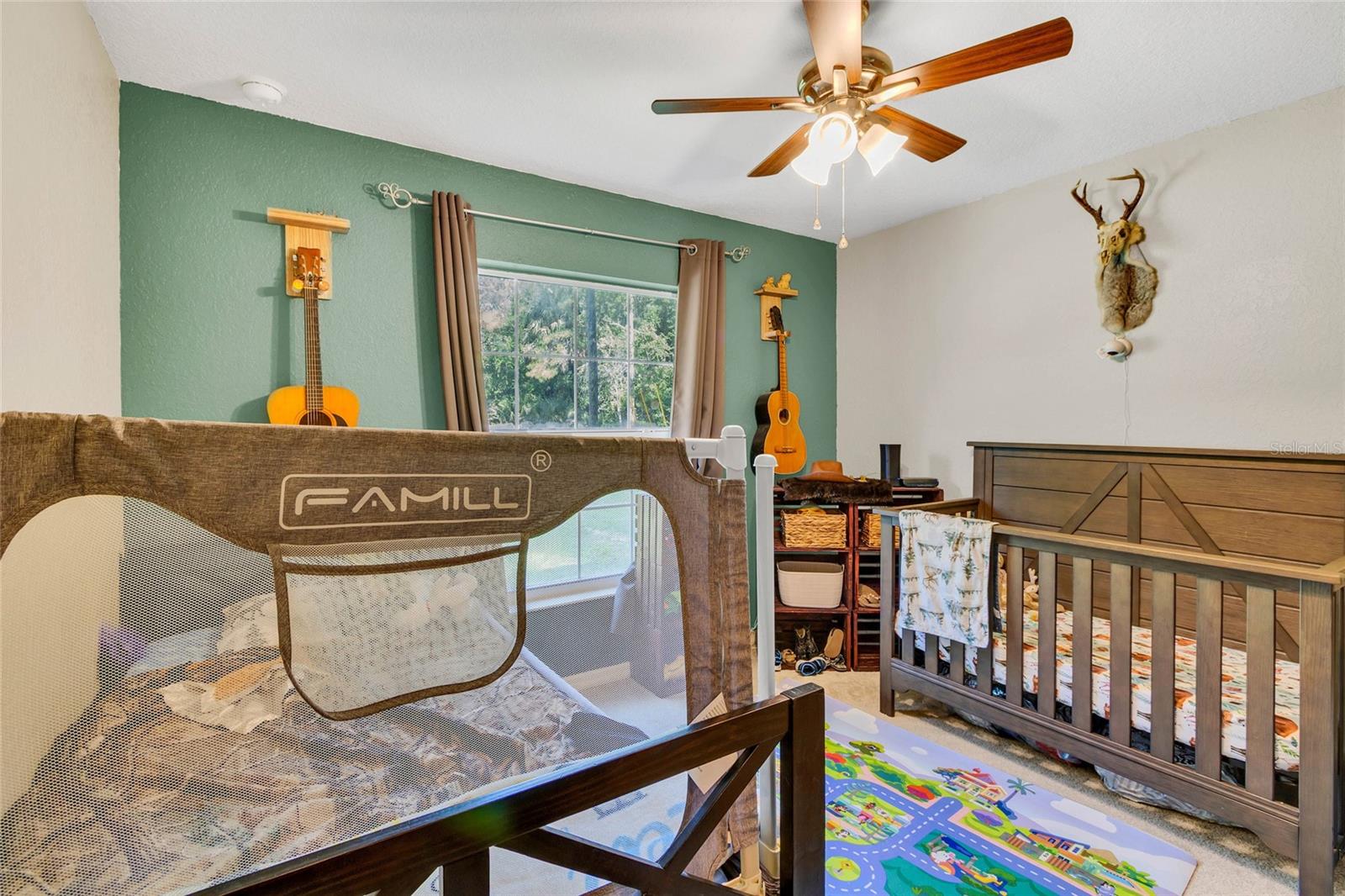 9 SEQUOIA LOOP LN, OCKLAWAHA, FL, 32179