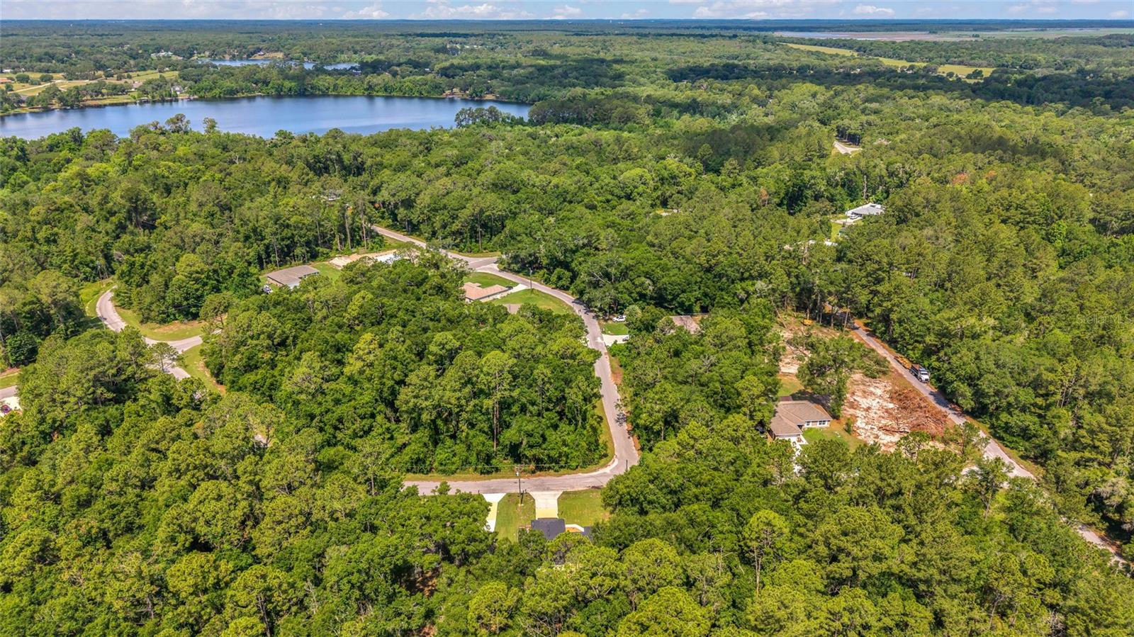 9 SEQUOIA LOOP LN, OCKLAWAHA, FL, 32179