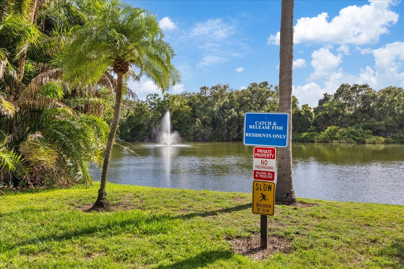 2603 2ND CT, PALM HARBOR, FL, 34684