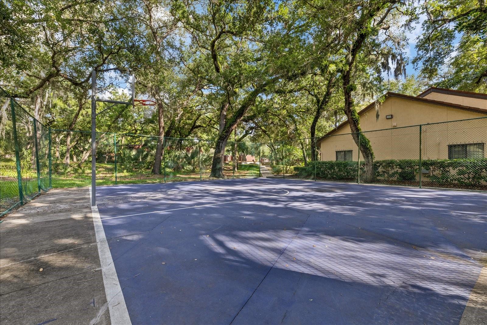 2603 2ND CT, PALM HARBOR, FL, 34684