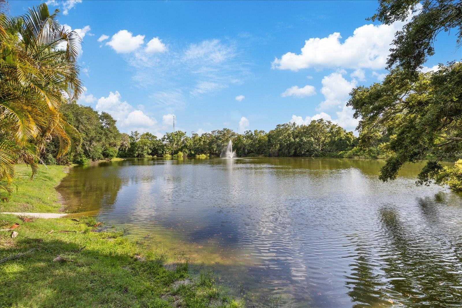 2603 2ND CT, PALM HARBOR, FL, 34684