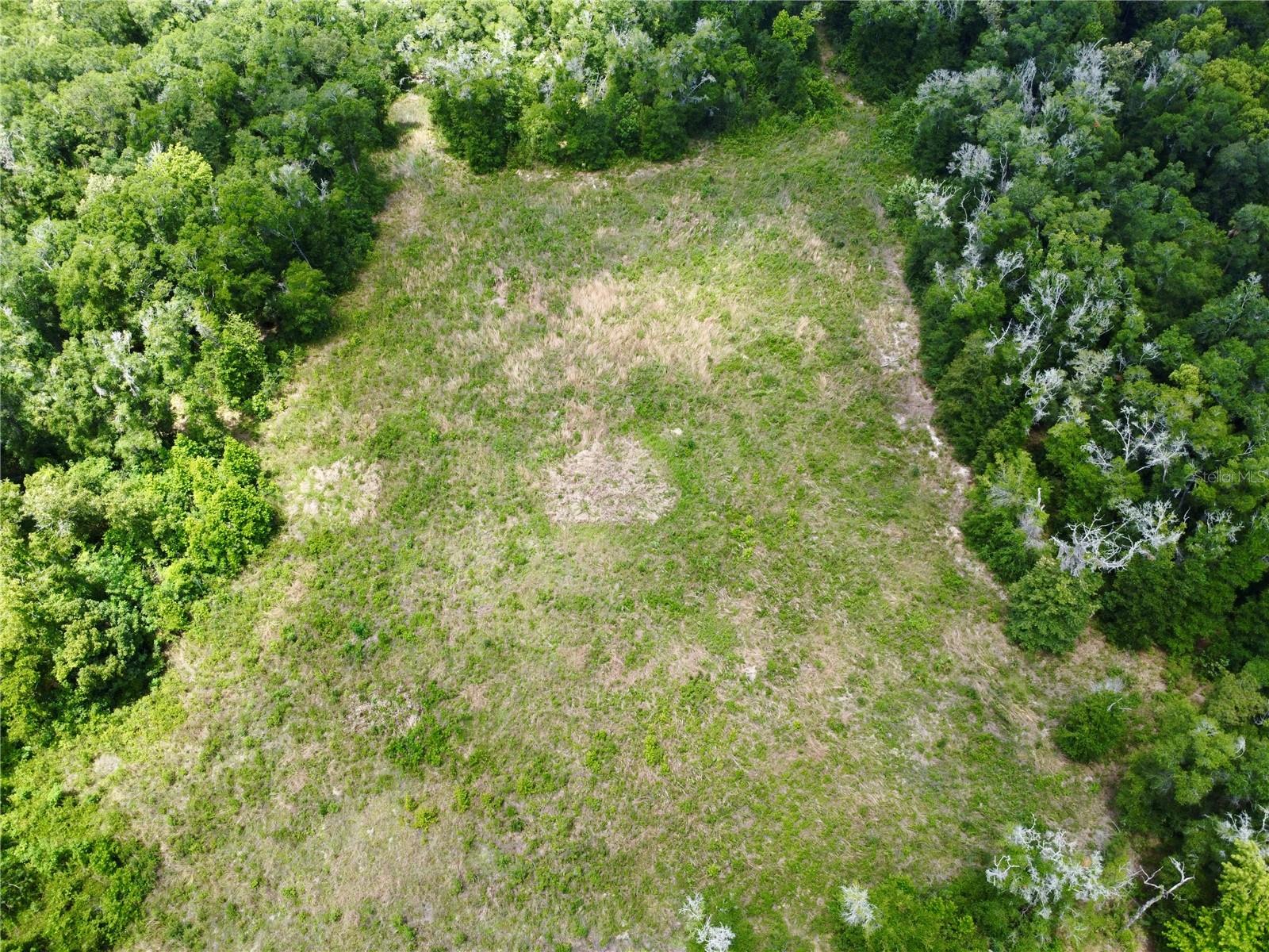 TBD S PINE AVENUE, OCALA, FL, 34480