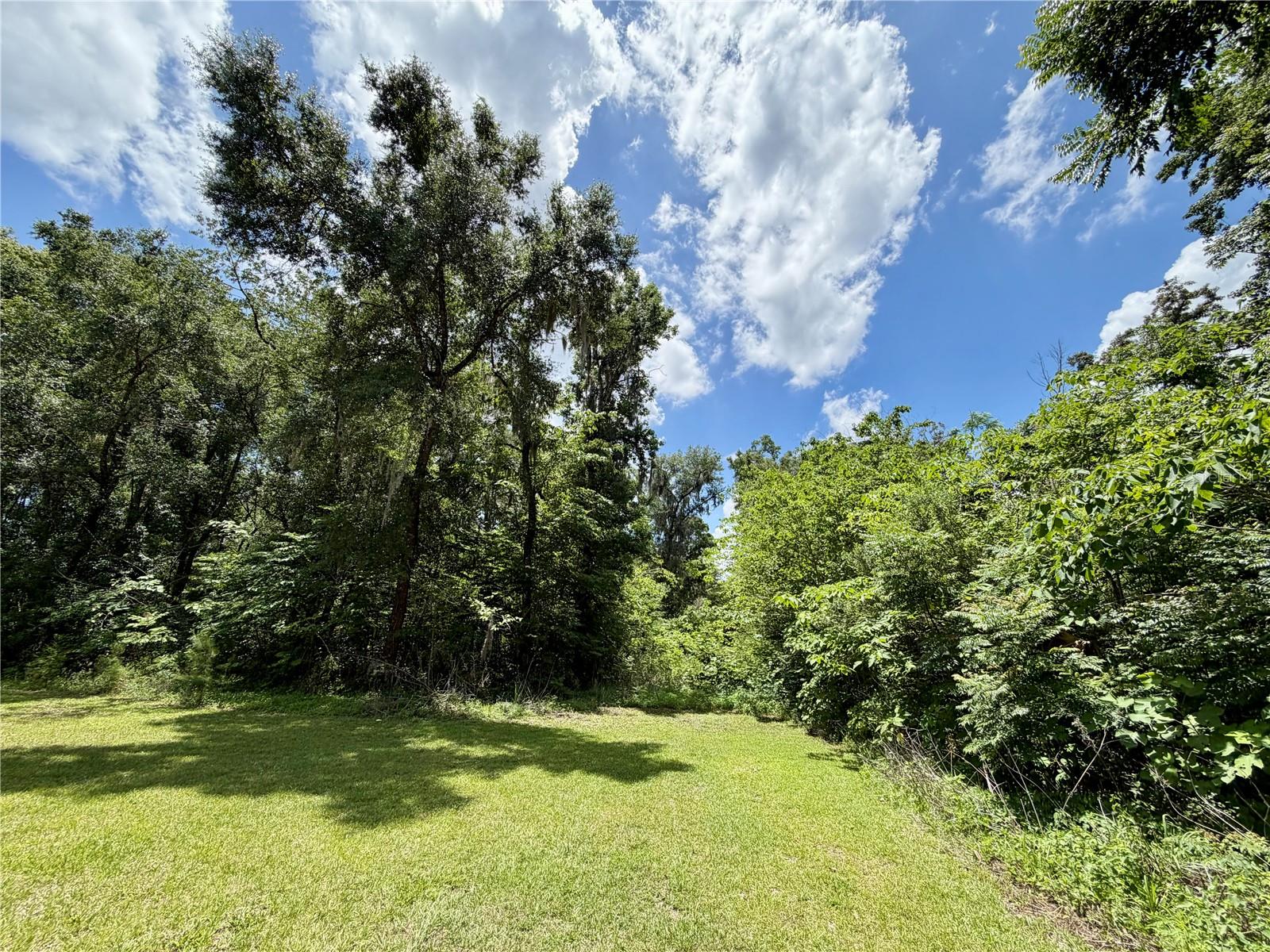 TBD S PINE AVENUE, OCALA, FL, 34480