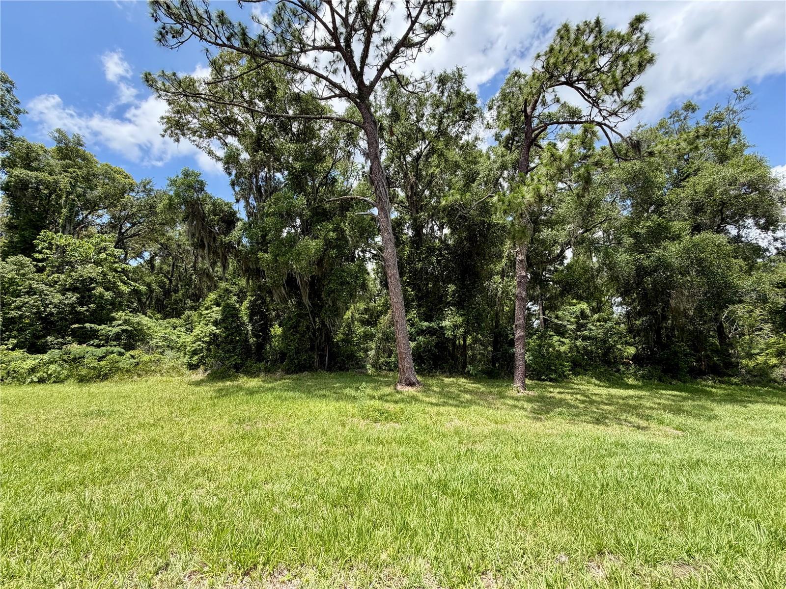 TBD S PINE AVENUE, OCALA, FL, 34480
