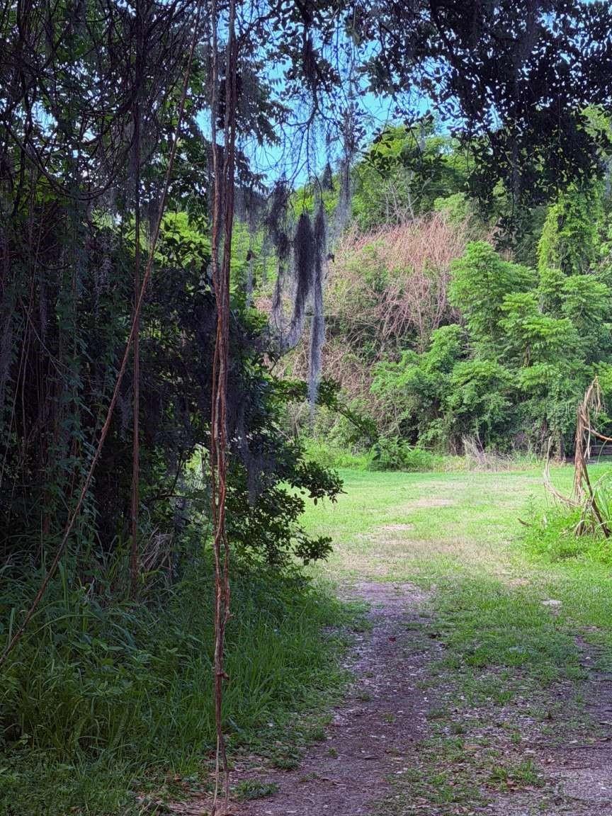 10984 PARK RIDGE GOTHA RD, WINDERMERE, FL, 34786