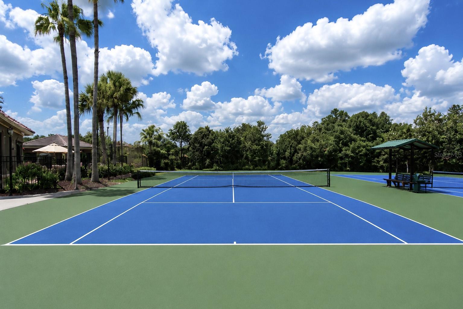 17446 QUEENSLAND ST, LAND O LAKES, FL, 34638