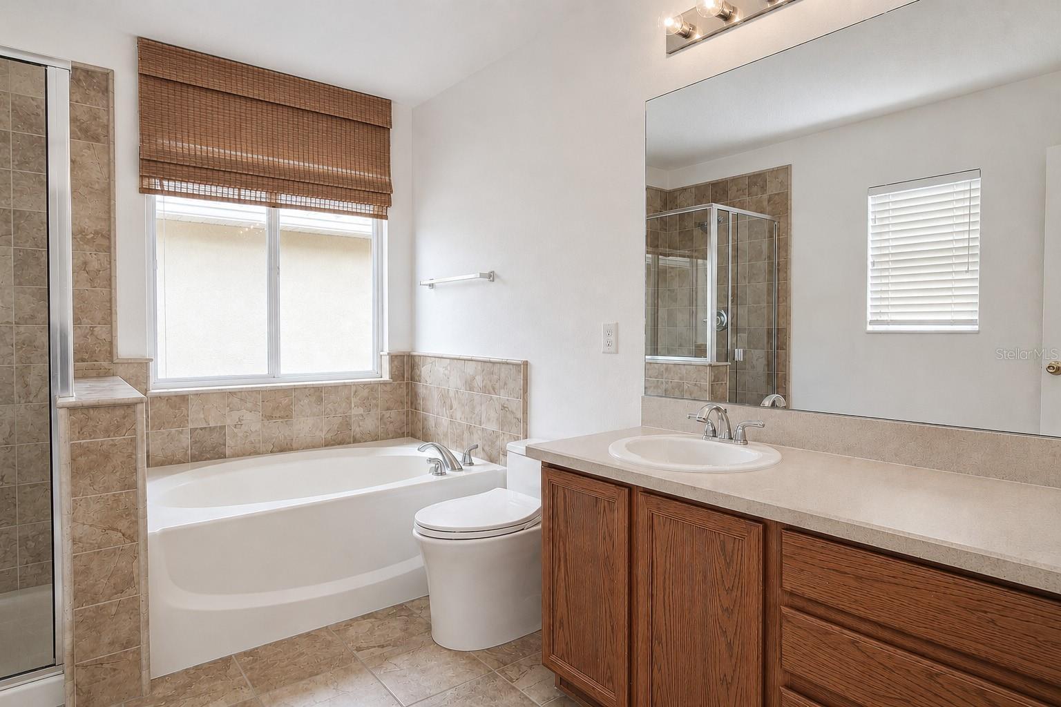 17446 QUEENSLAND ST, LAND O LAKES, FL, 34638