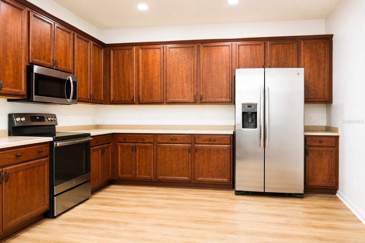 17446 QUEENSLAND ST, LAND O LAKES, FL, 34638