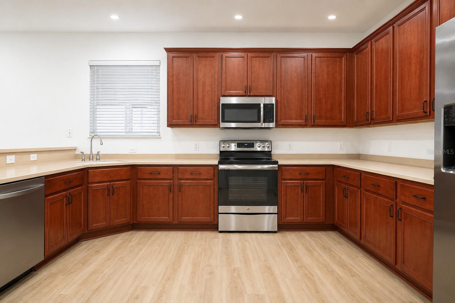 17446 QUEENSLAND ST, LAND O LAKES, FL, 34638