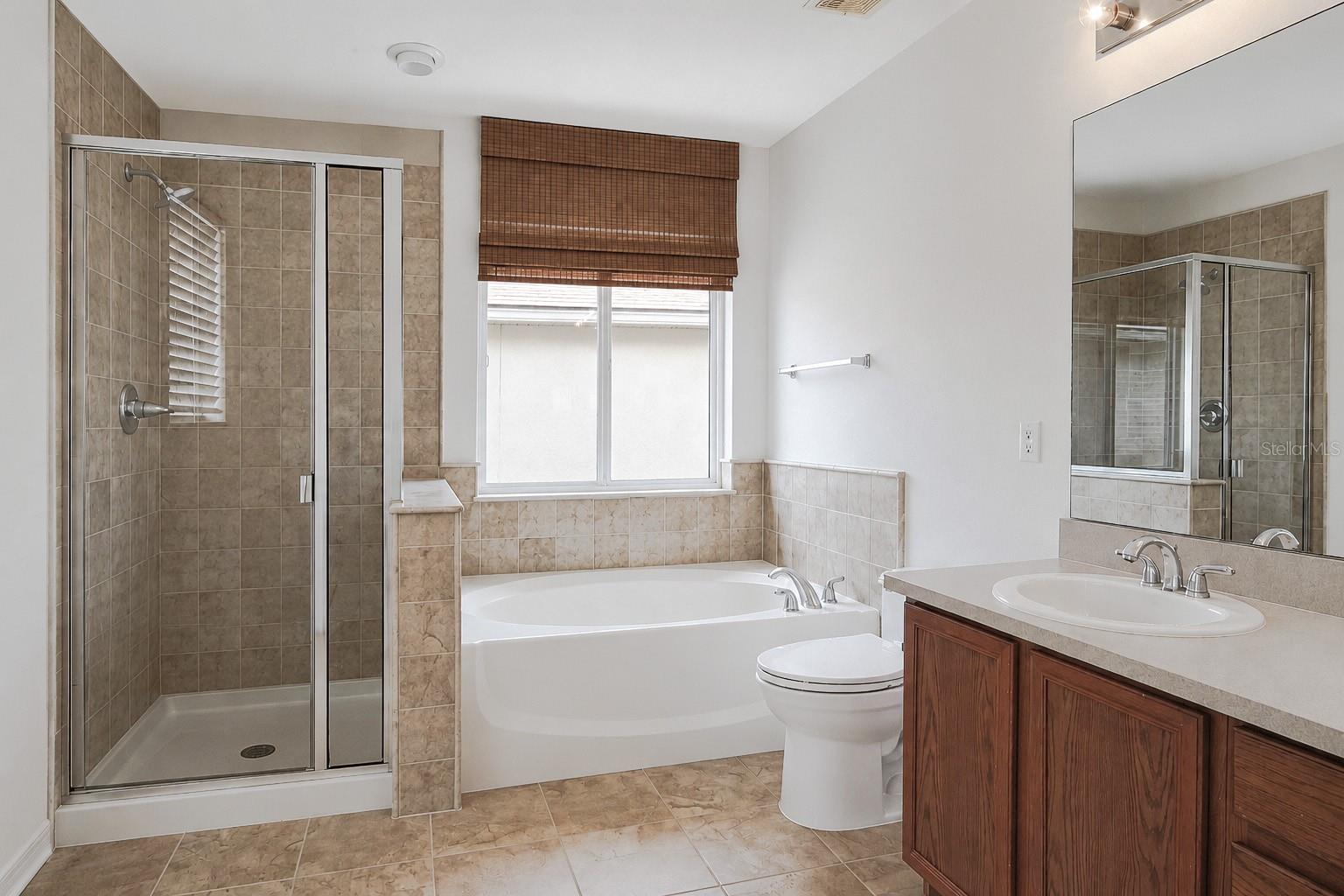 17446 QUEENSLAND ST, LAND O LAKES, FL, 34638
