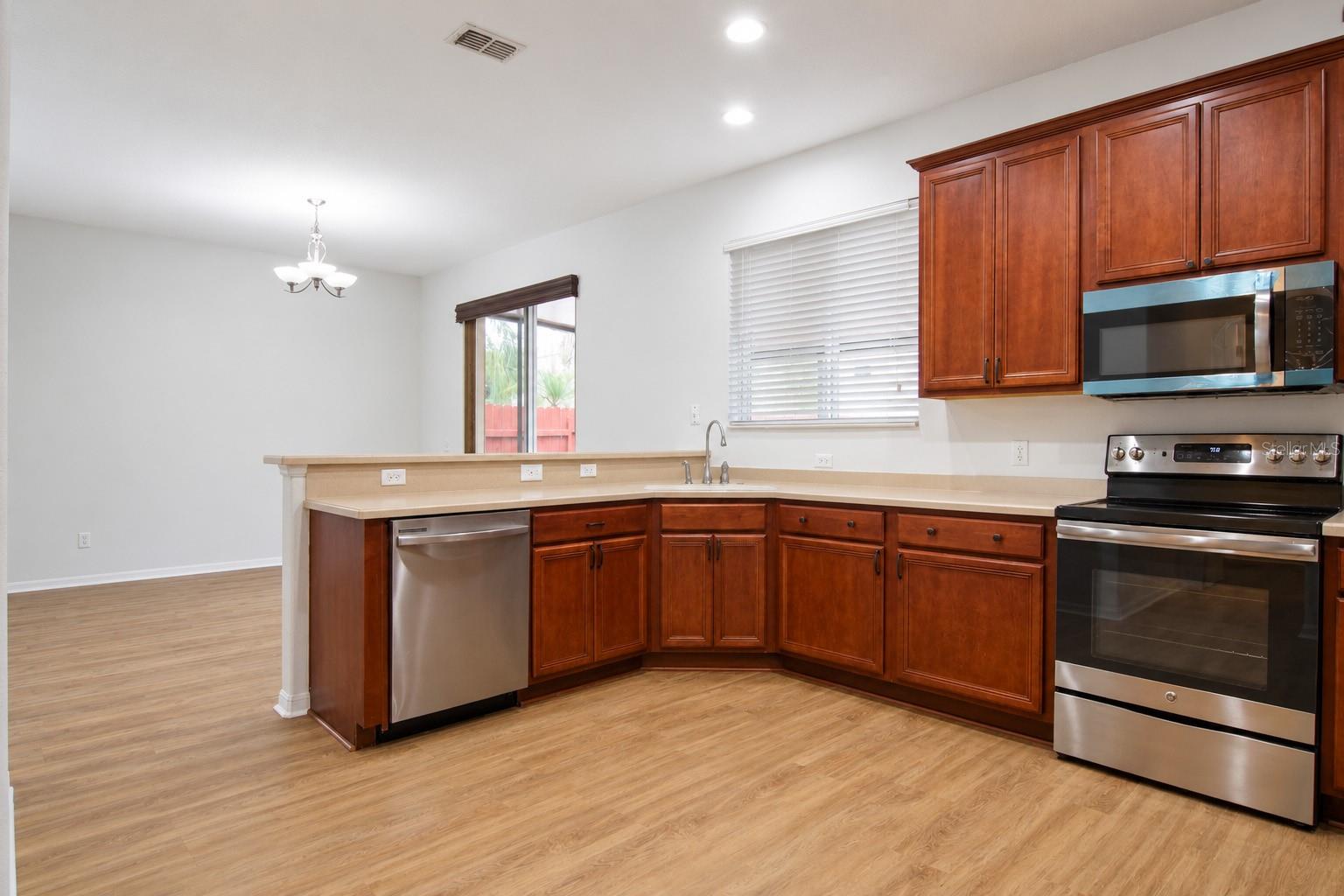 17446 QUEENSLAND ST, LAND O LAKES, FL, 34638