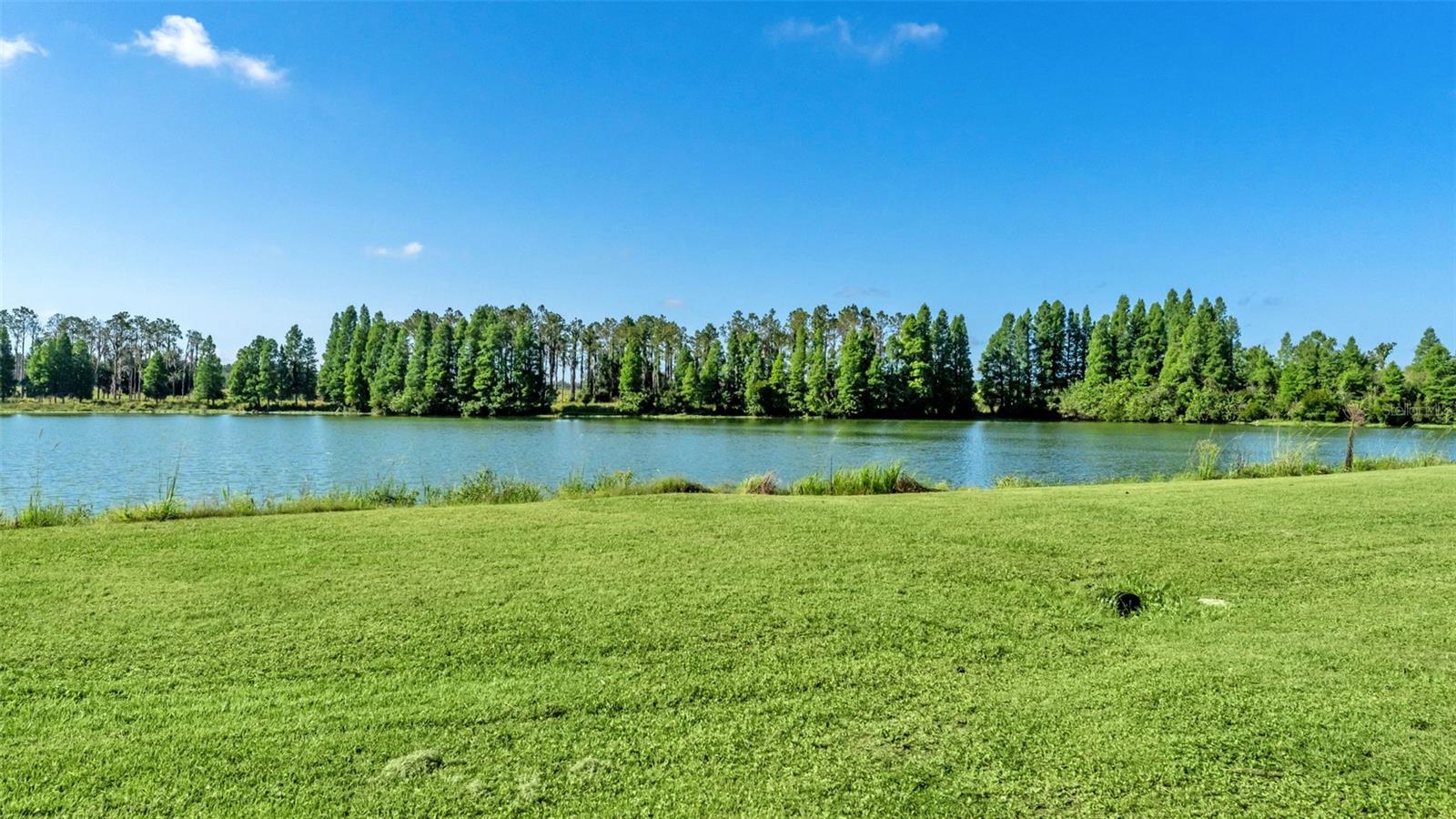 1044 TIMBERS DR, FORT MEADE, FL, 33841
