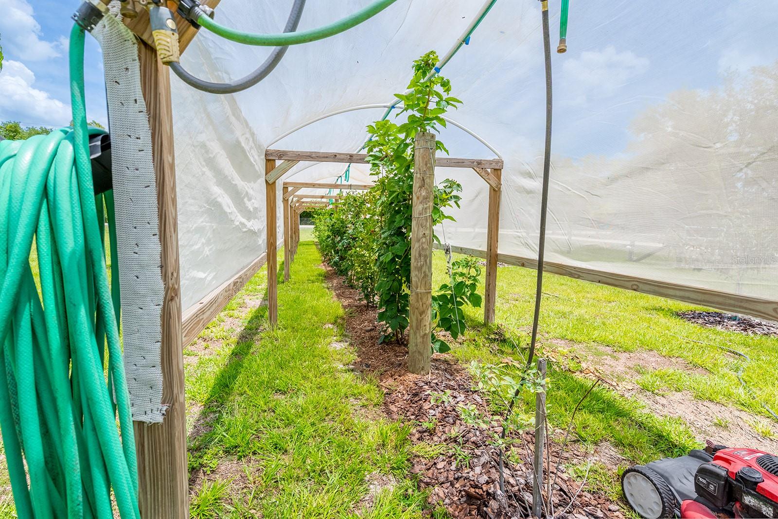 11030 NW 100TH AVE, CHIEFLAND, FL, 32626