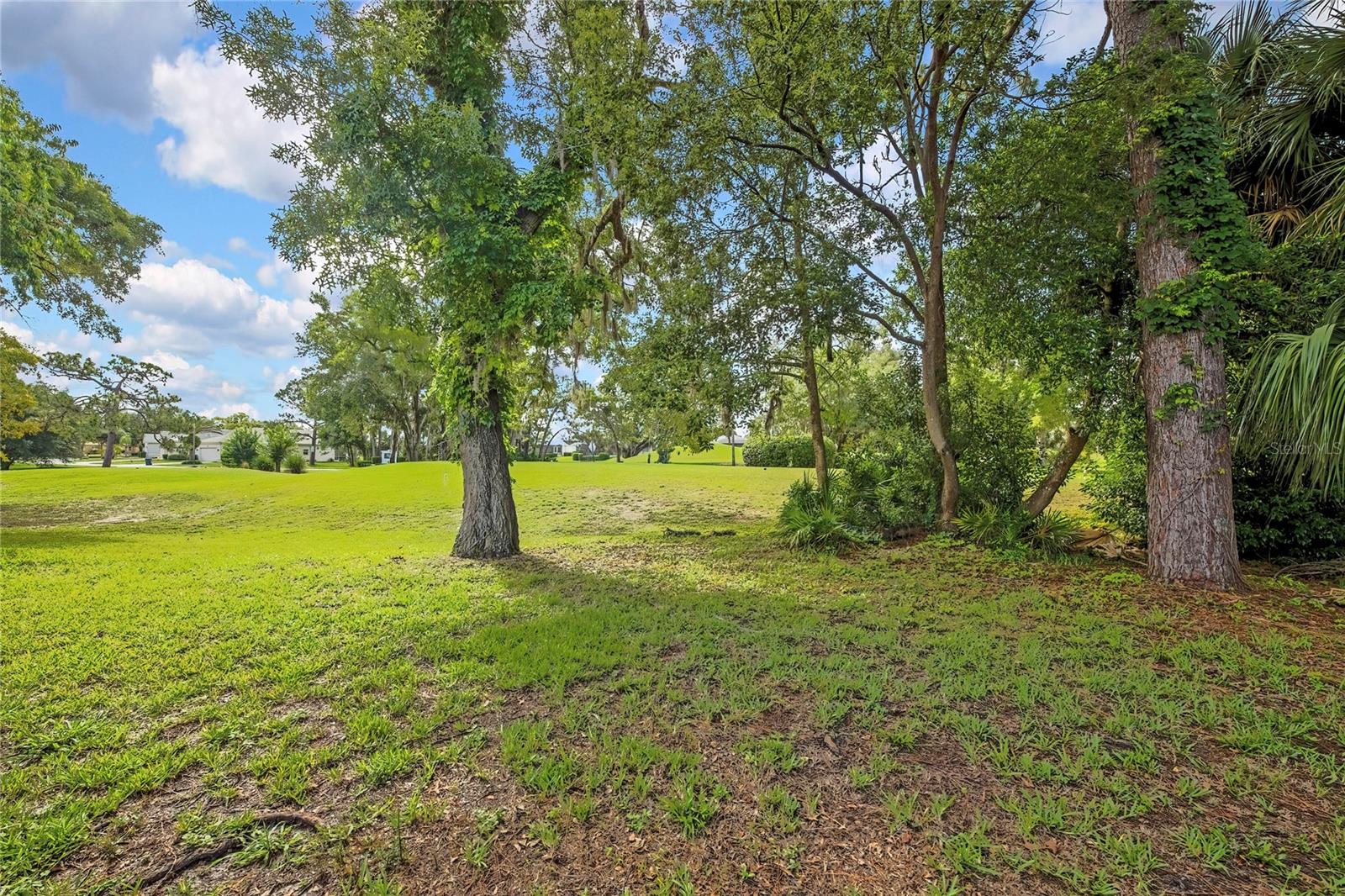 8480 MAYBELLE DR, WEEKI WACHEE, FL, 34613