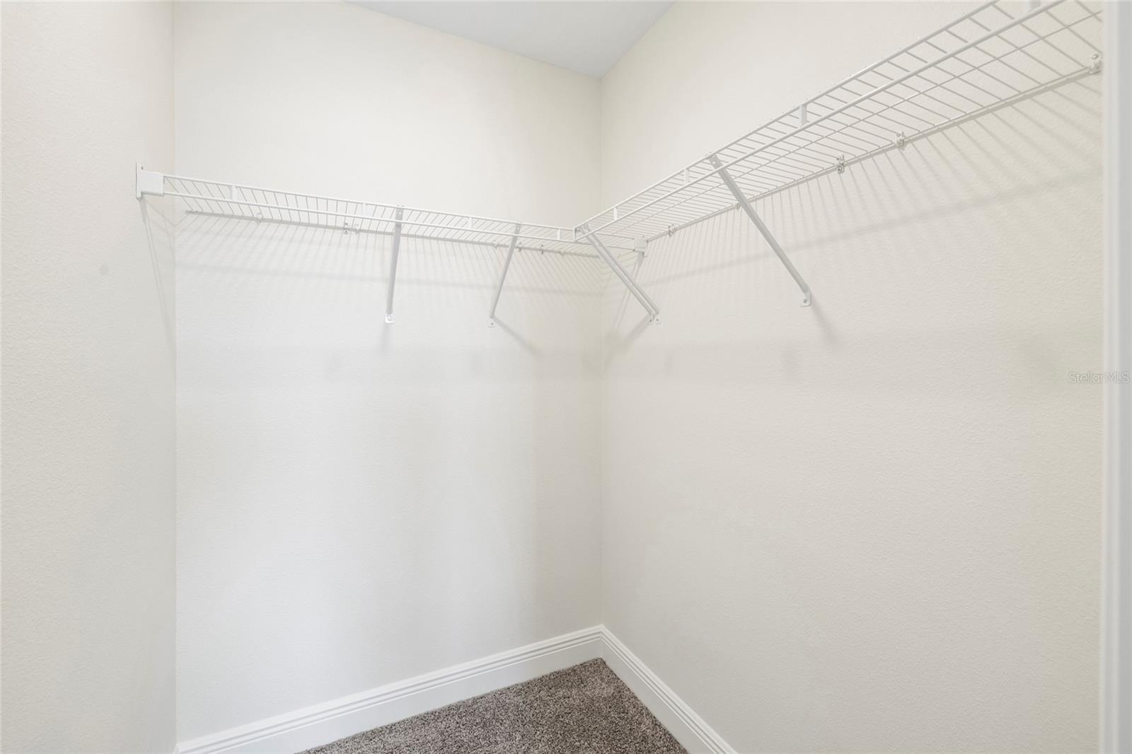 11641 SWEET TANGERINE LN, TAMPA, FL, 33626