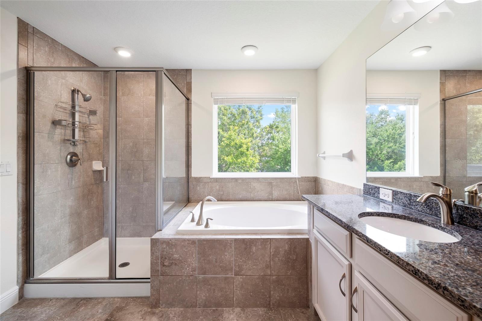 11641 SWEET TANGERINE LN, TAMPA, FL, 33626