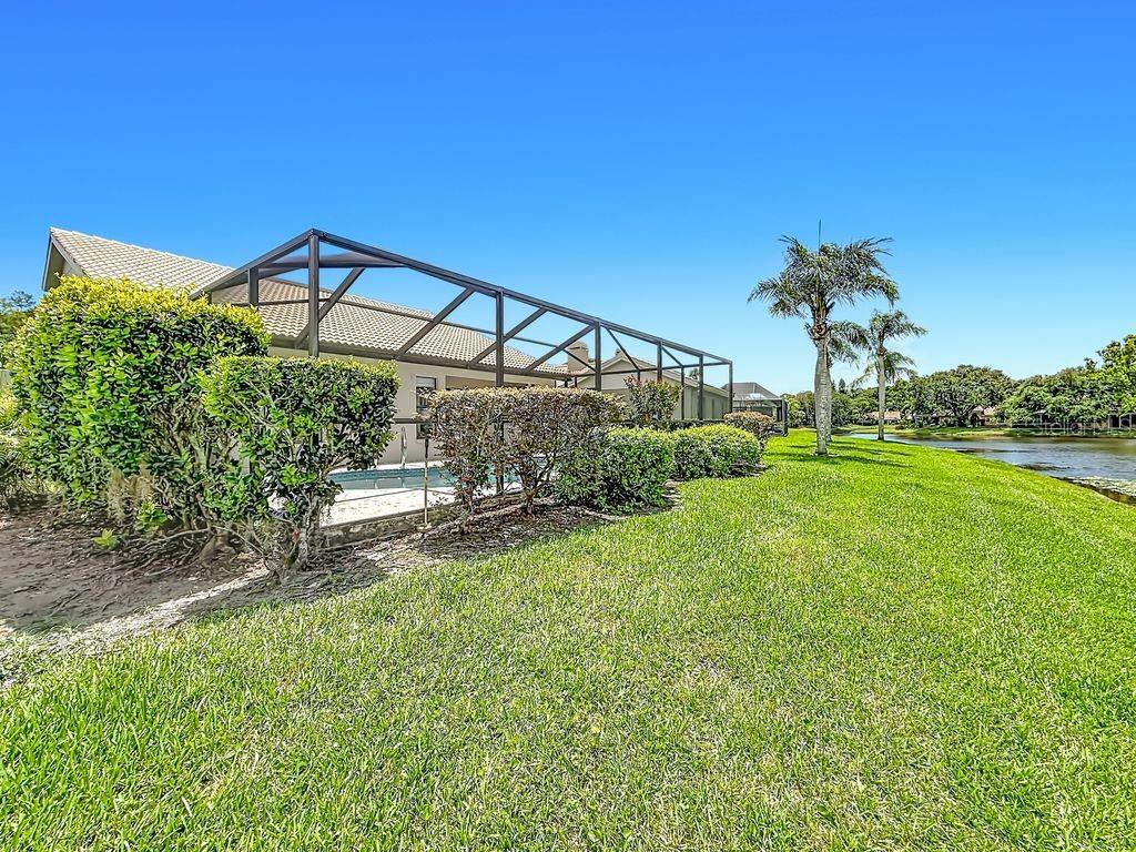 5569 GREYSTON ST, PALM HARBOR, FL, 34685