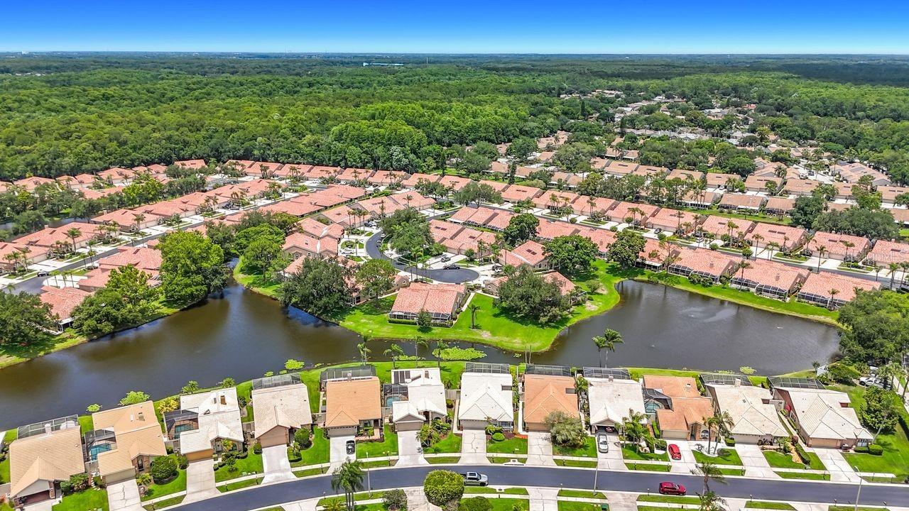5569 GREYSTON ST, PALM HARBOR, FL, 34685