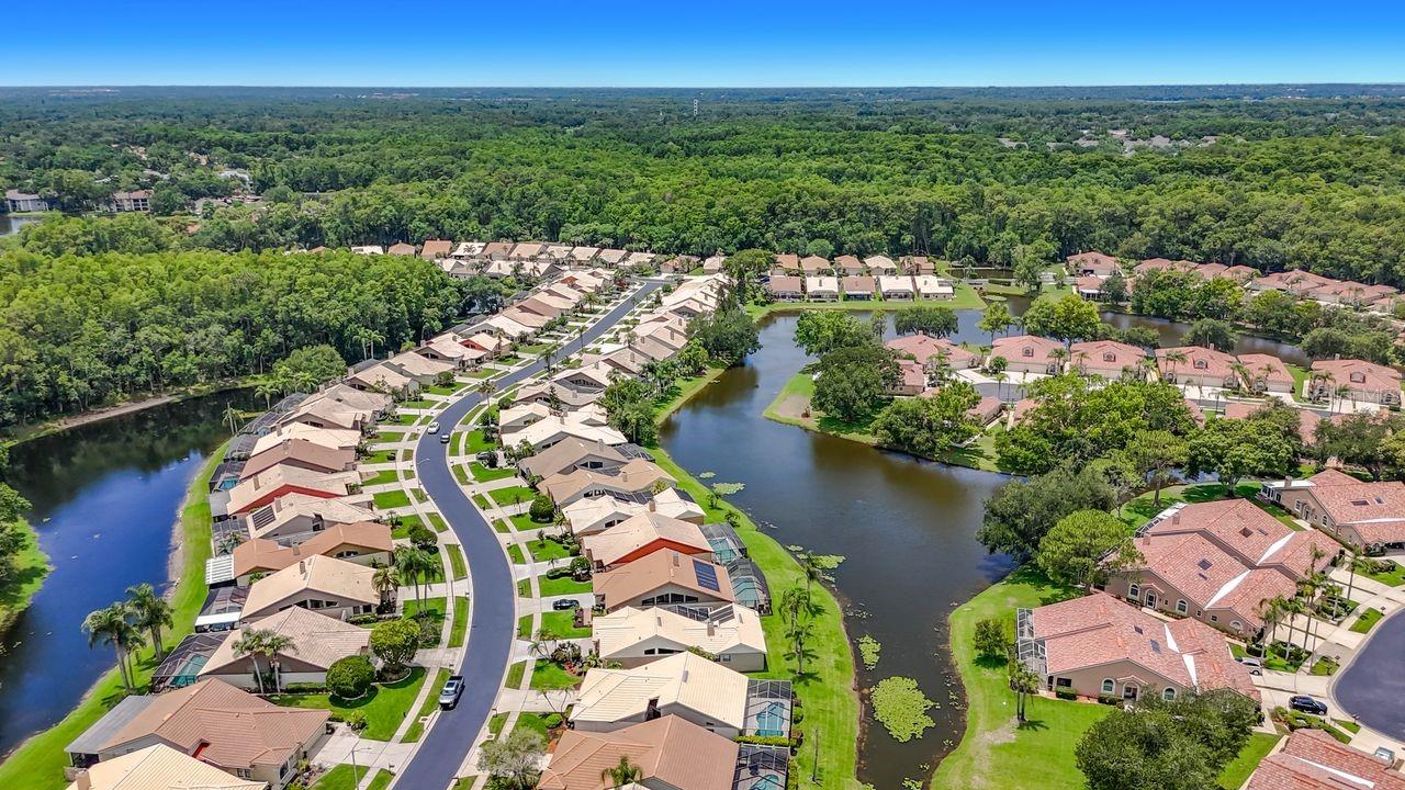 5569 GREYSTON ST, PALM HARBOR, FL, 34685