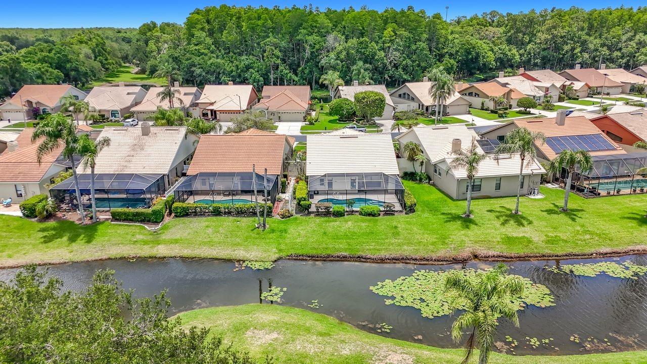 5569 GREYSTON ST, PALM HARBOR, FL, 34685