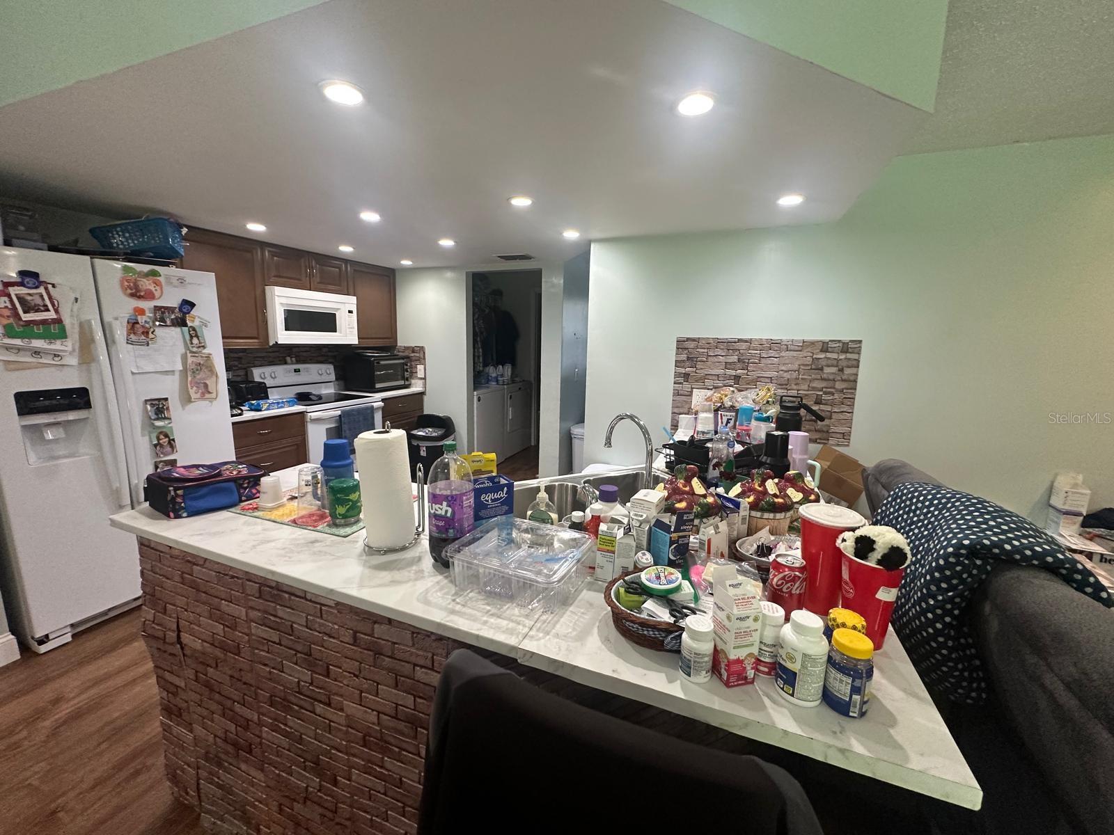 17042 NATURE TRL, LUTZ, FL, 33558