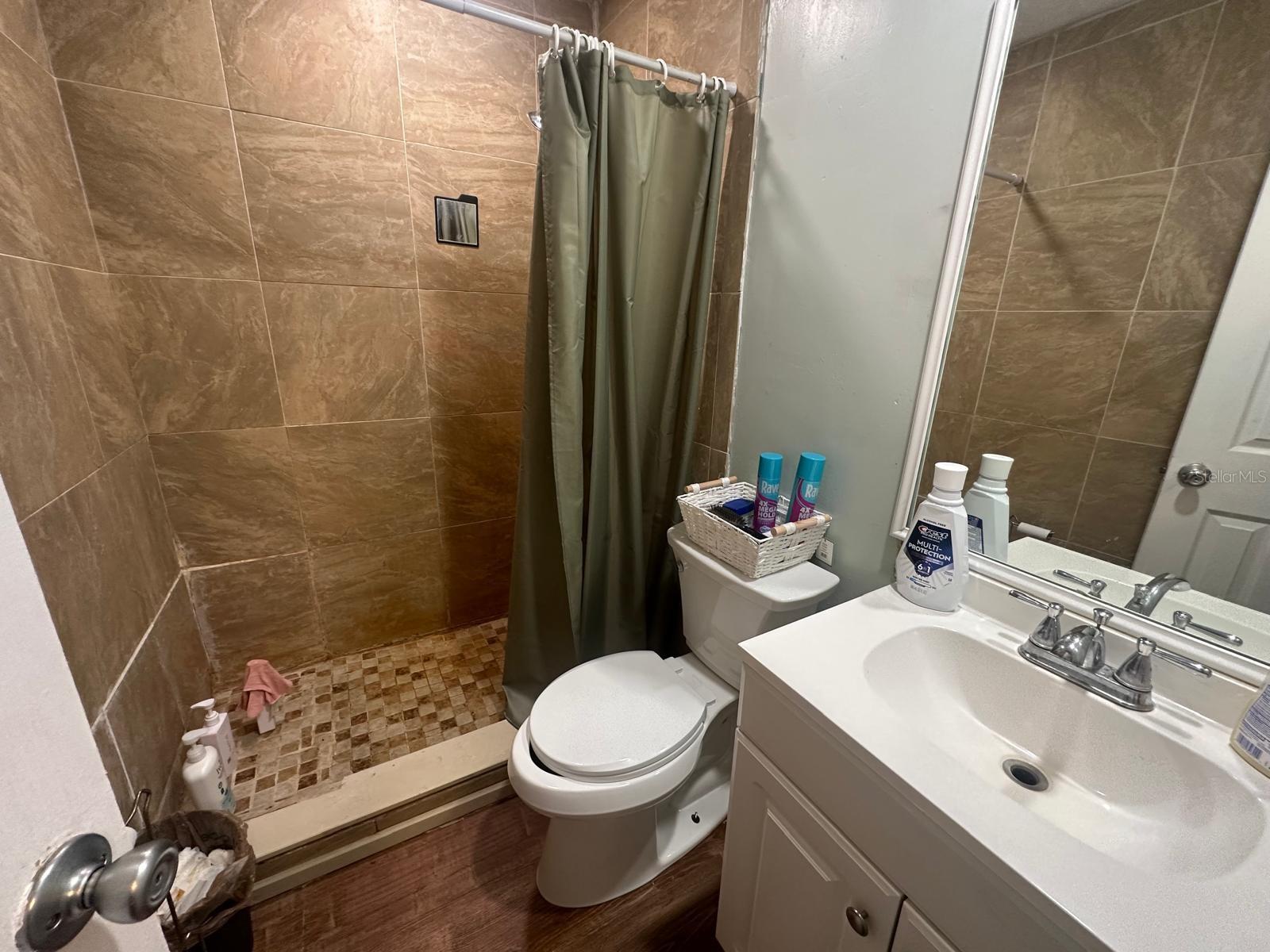 17042 NATURE TRL, LUTZ, FL, 33558