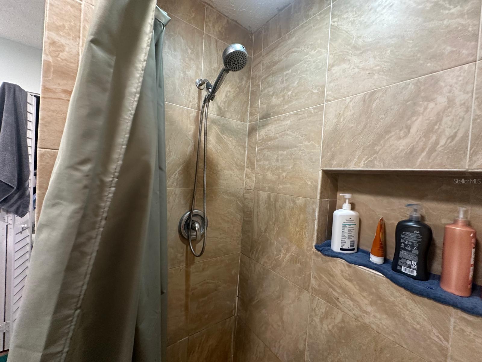 17042 NATURE TRL, LUTZ, FL, 33558