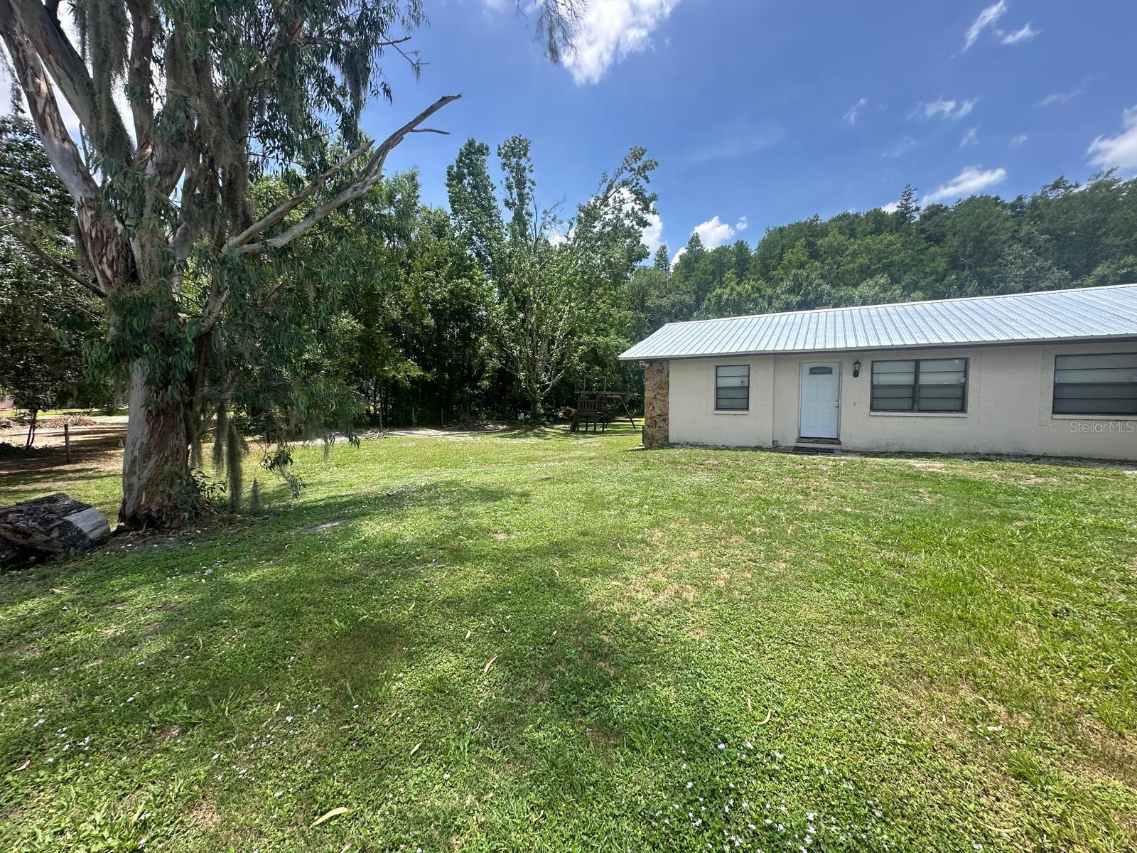 17042 NATURE TRL, LUTZ, FL, 33558