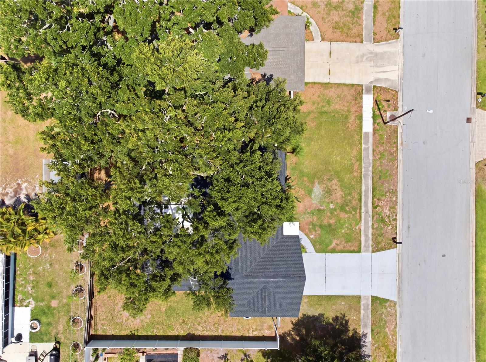1656 WEBB DR, CLEARWATER, FL, 33755