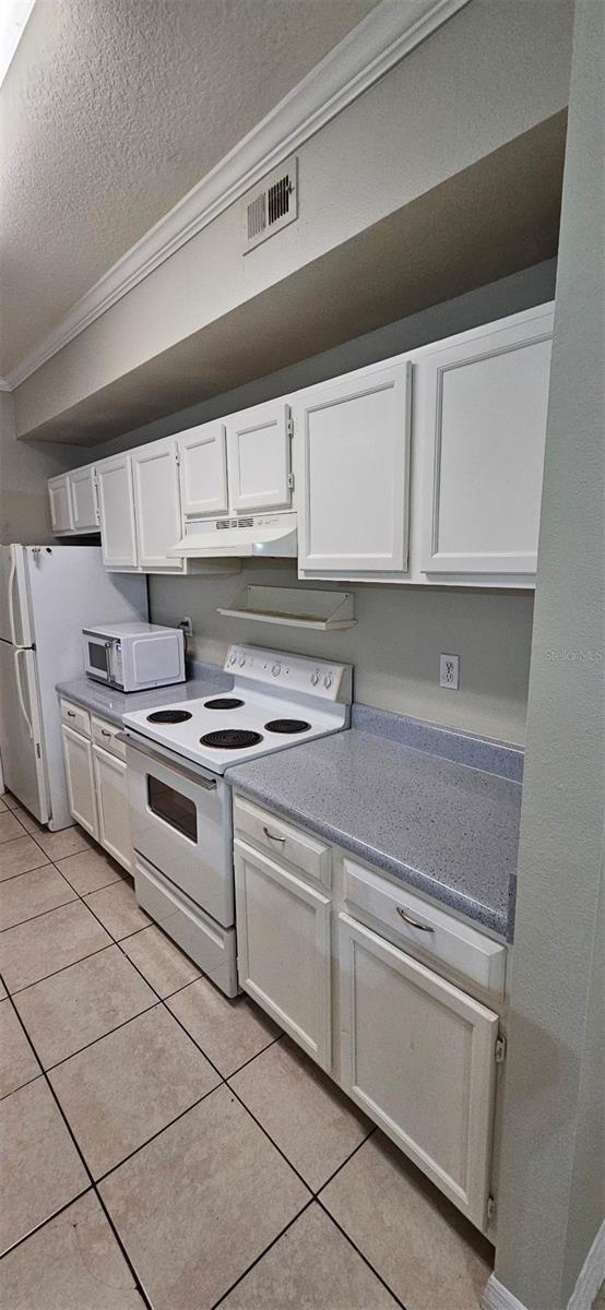 5618 PINNACLE HEIGHTS CIR #309, TAMPA, FL, 33624