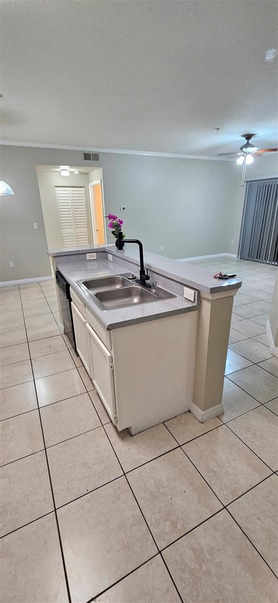 5618 PINNACLE HEIGHTS CIR #309, TAMPA, FL, 33624
