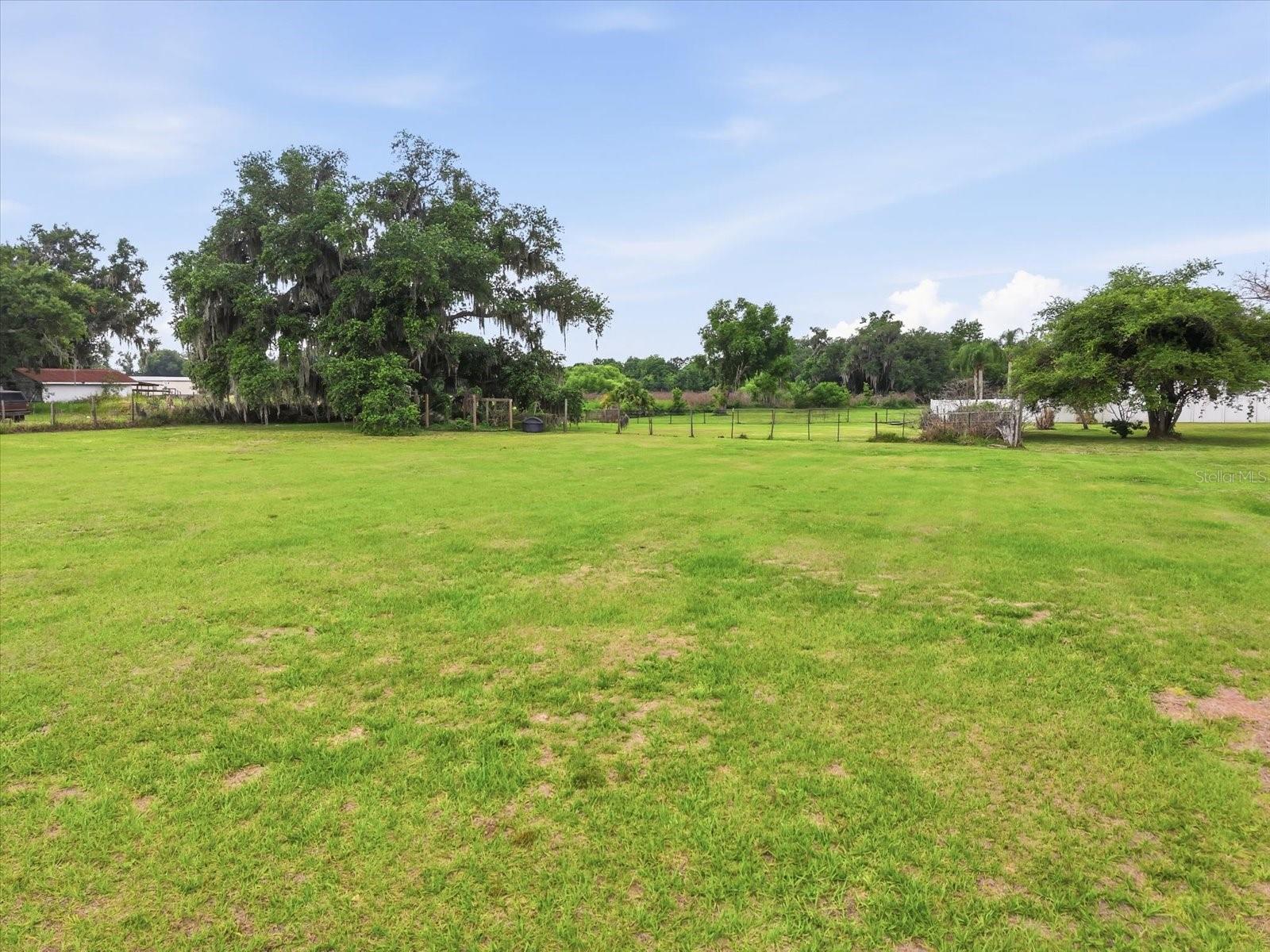 1113 COLSON RD, PLANT CITY, FL, 33567