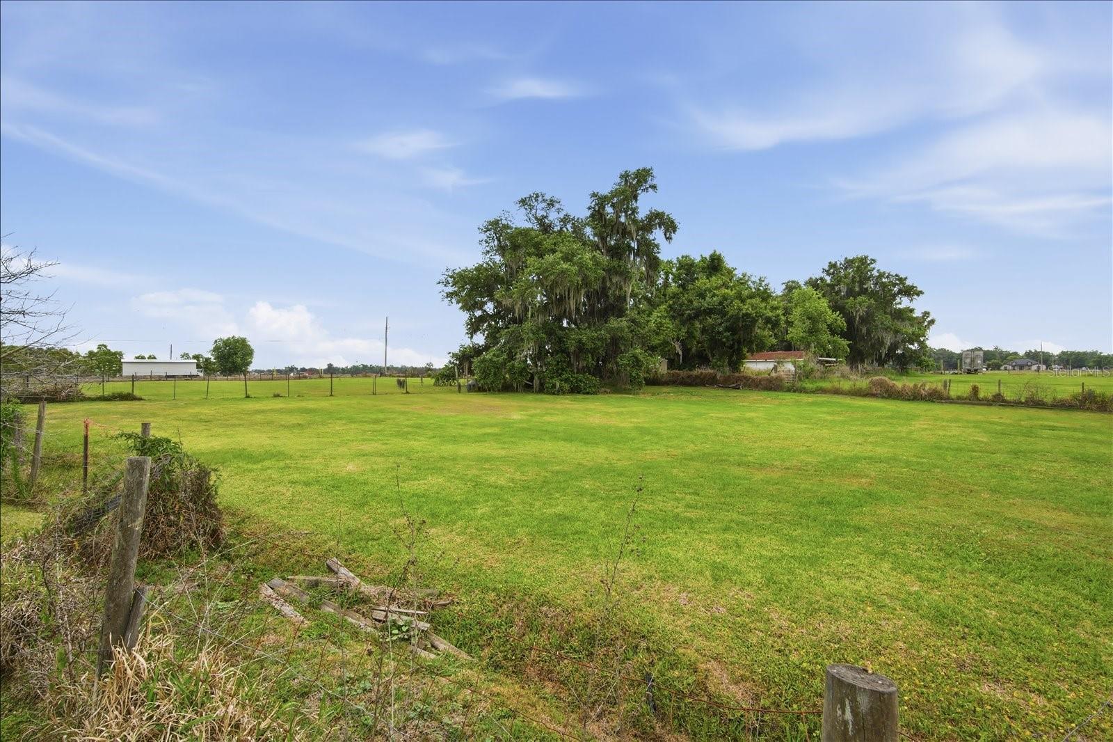 1113 COLSON RD, PLANT CITY, FL, 33567