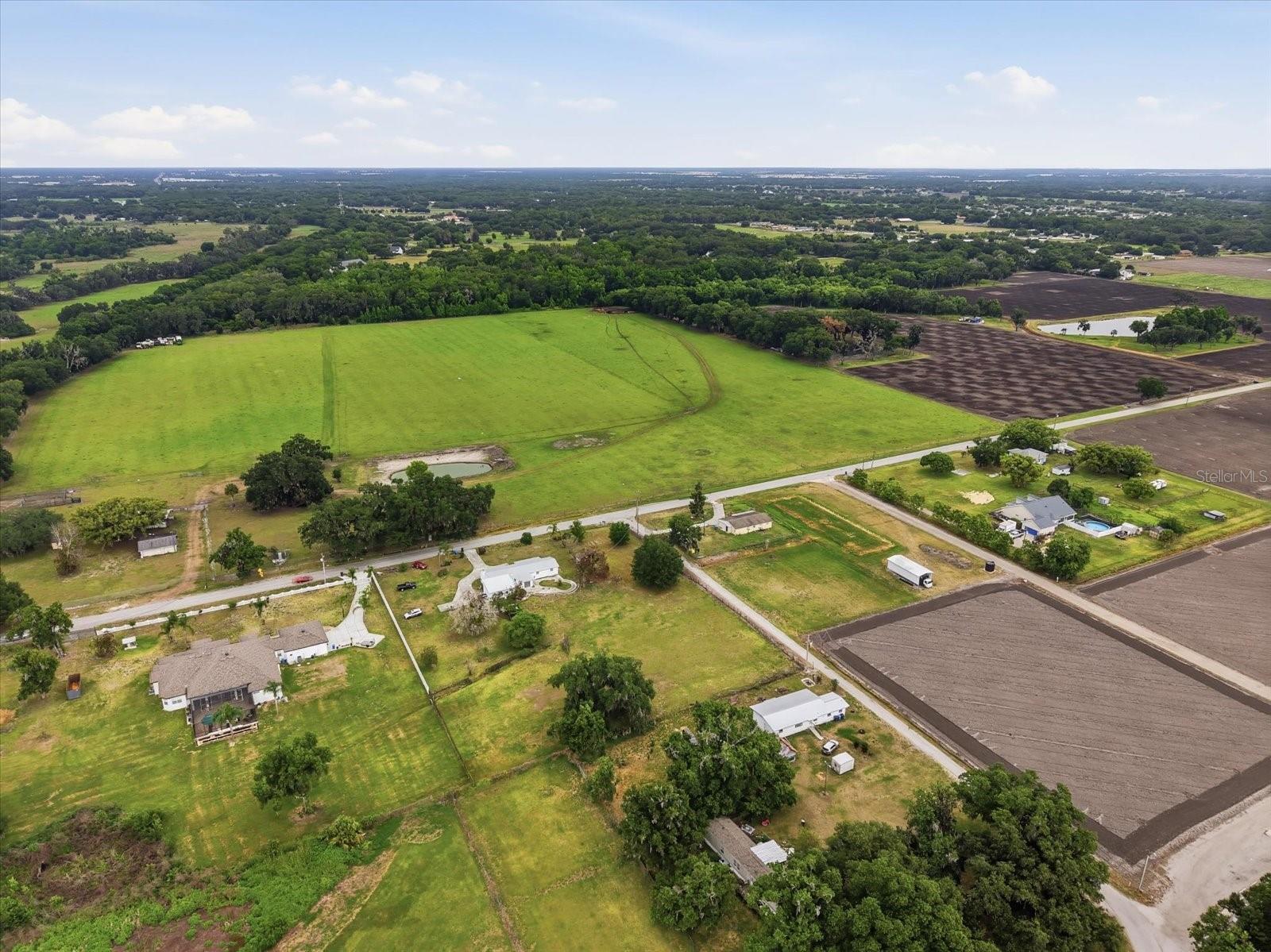 1113 COLSON RD, PLANT CITY, FL, 33567