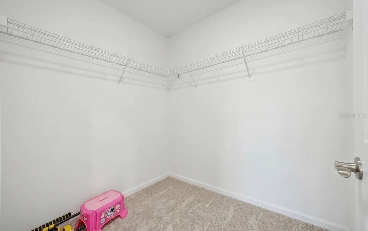 7792 NOTCHED PINE BND, WESLEY CHAPEL, FL, 33545