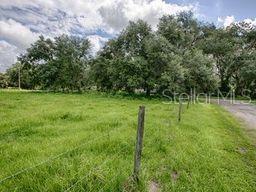 CR 763, BUSHNELL, FL, 33513