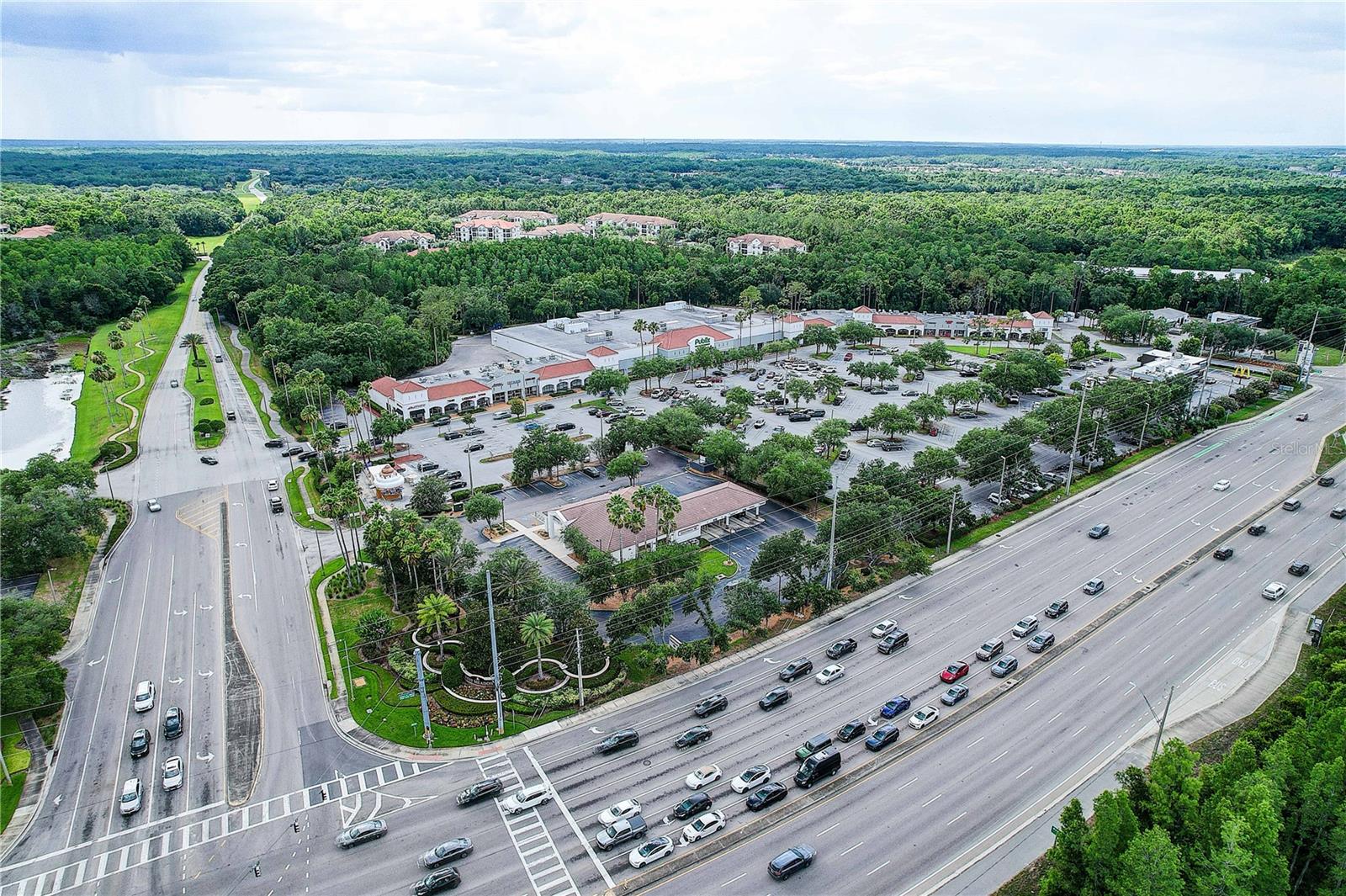 TAMPA, FL, 33647