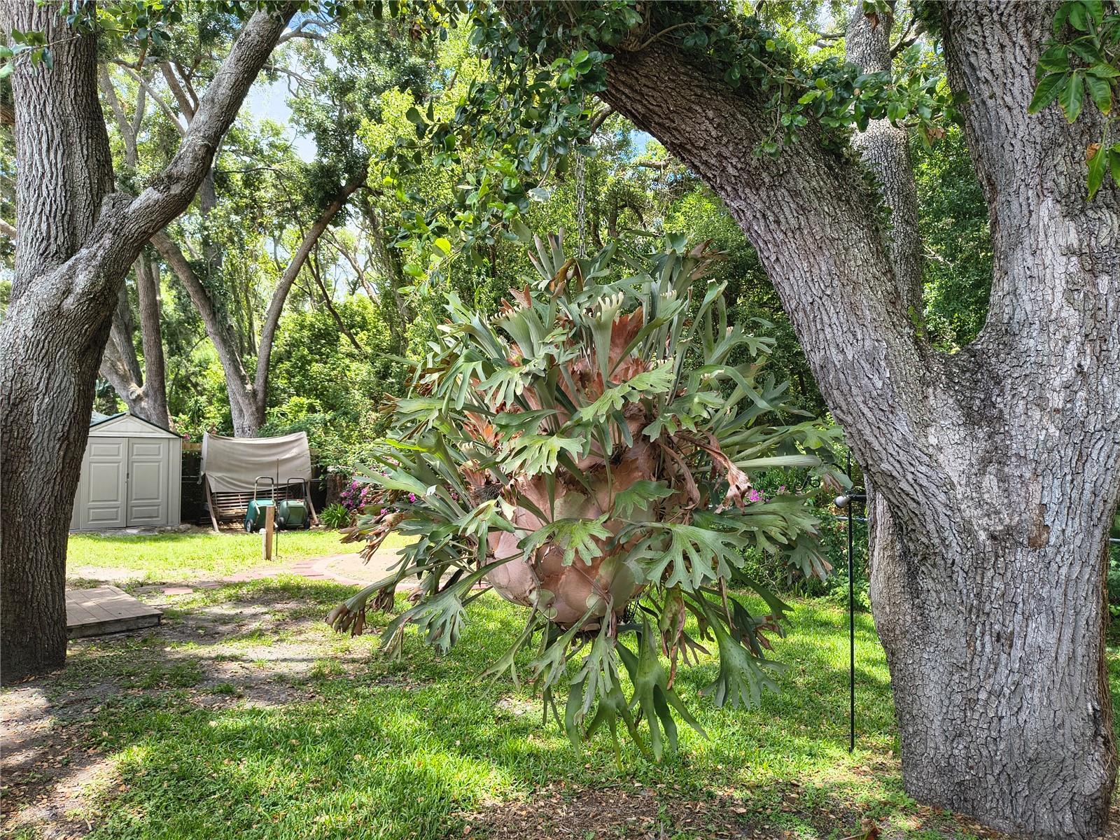 6627 PARKSIDE DR, NEW PORT RICHEY, FL, 34653