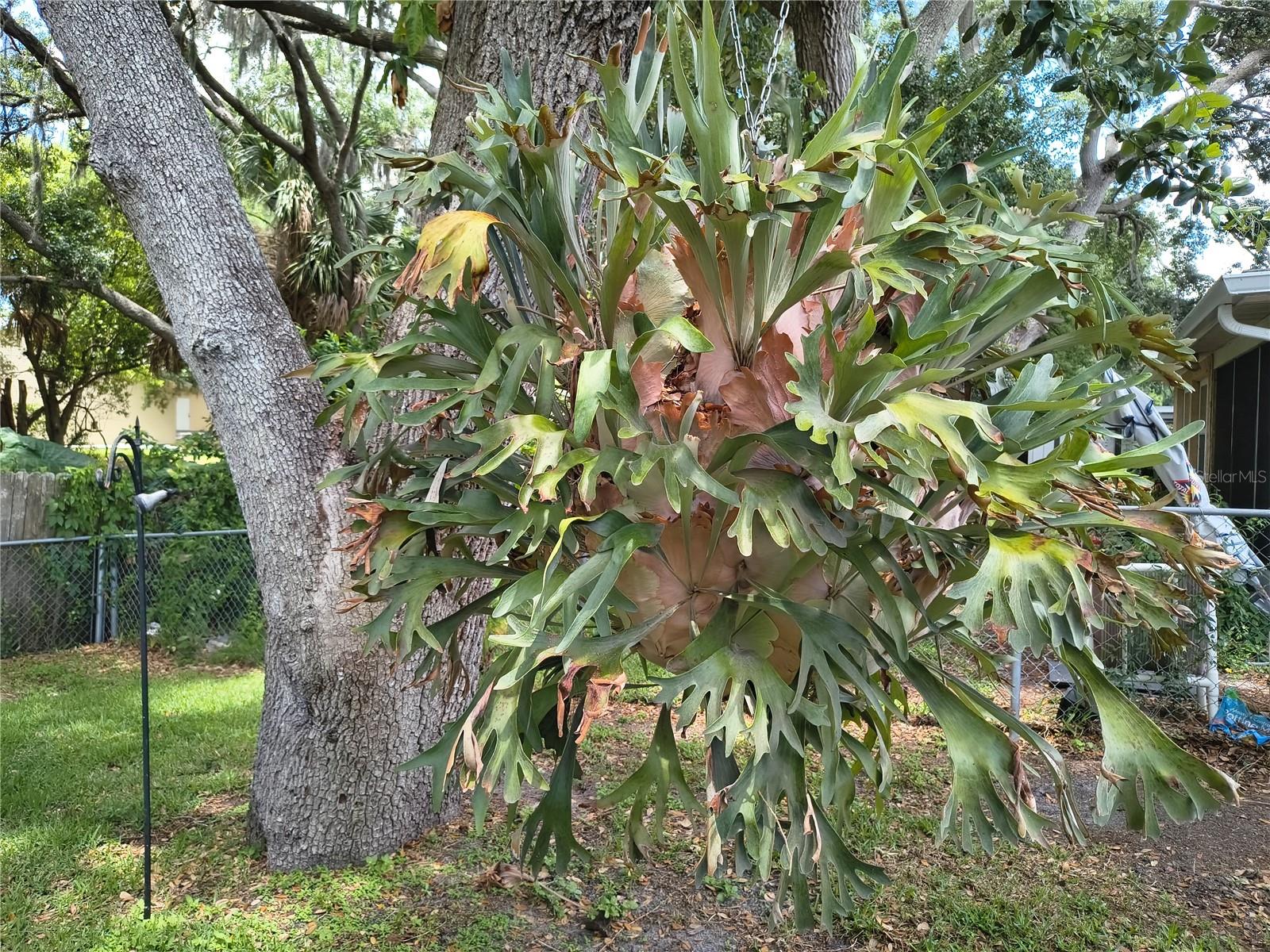 6627 PARKSIDE DR, NEW PORT RICHEY, FL, 34653