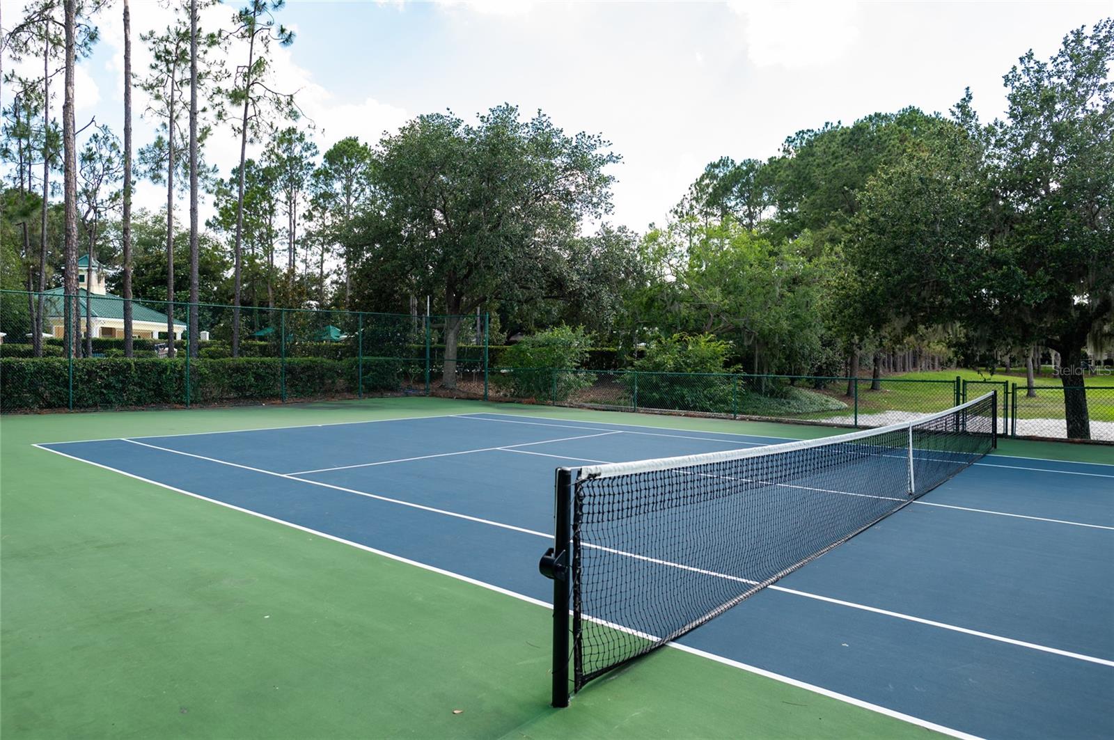 12633 HADDON DR, WINDERMERE, FL, 34786