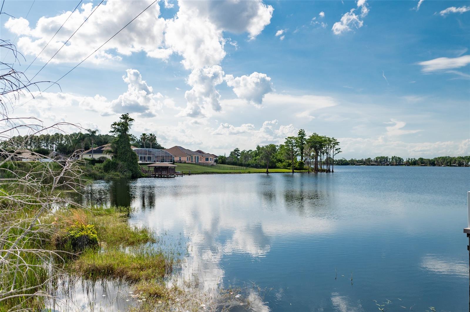 12633 HADDON DR, WINDERMERE, FL, 34786